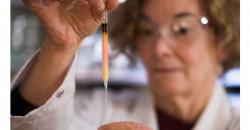 Ilmuwan Temukan Warna Tertua di Dunia: Merah Muda Cerah