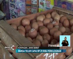 Rekor Kenaikan Harga Telur Ayam Terjadi Tahun Ini