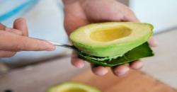 Alpukat Seukuran Kepala Manusia Dijual di Australia