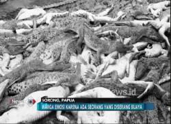 Warga Bantai 292 Buaya Penangkaran di Papua