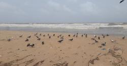 5 Pantai Terkotor di Dunia, Pantai El Gringo Bahaya seperti Chernobyl