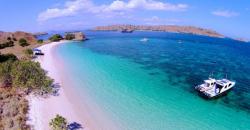 Terpesona Keindahan Karang Laut Pink Beach di Pulau Komodo