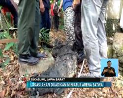 Ditinggalkan Pemilik, Petugas Evakuasi Buaya di Villa Sukabumi