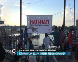 Buaya 4 Meter Muncul, Polda Kalteng Turun Tangan