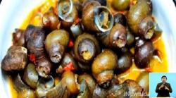 Puluhan Warga 2 Desa di Sukabumi Keracunan Keong Sawah, 1 Orang Tewas