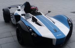 Ini Cleo, Anjing Paling Gaya Sedunia