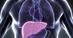 Ini Dia Deretan Fakta Hari Hepatitis Sedunia