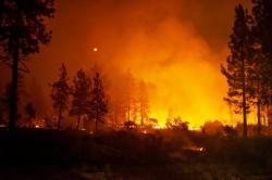 Kebakaran Hutan di California, Lansia dan 2 Cicitnya Ditemukan Tewas