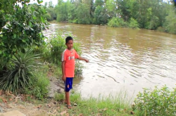 Heboh, Seorang Bocah 10 Tahun Digigit Buaya di Barito Kuala