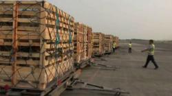 Jelang Idul Adha, Jatim Ekspor 1.093 Ekor Kambing ke Malaysia