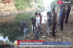 Hitam dan Bau, Sungai Cidurian di Serang Tercemar Limbah
