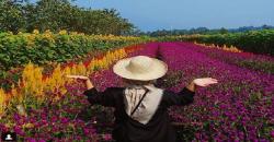 Wisata Kekinian Taman Bunga BPI, Spot Instagramable Hits di Pandeglang