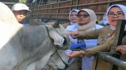 8 Daerah Endemis Antraks, Warga Diminta Lebih Teliti Beli Hewan Kurban