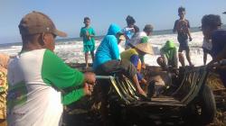 Ikan Lumba-Lumba Terdampar di Pantai Trisik Jadi Tontonan Warga