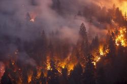 114.000 Hektare Hutan Terbakar, Terbesar Sepanjang Sejarah California