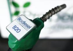 5 Daerah Penghasil Biodiesel di Indonesia, Nomor 3 Dijuluki Kota Minyak<
