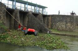 Diduga Tercemar Pipa Limbah di Dasar Kali Bekasi, Ikan Sapu-Sapu Mati