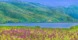 Wisata Tapanuli, Kunjungi Danau Siais sambil Mengintip Ikan Keramat