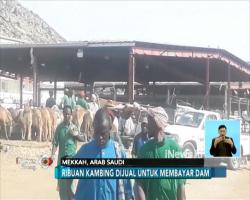 Jamaah Haji Berburu Kambing di Kakiyah, Ini Harganya