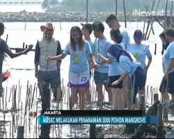 Kelompok Anak Muda Gelar Penanaman 3.000 Pohon Mangrove di Marunda