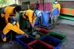 Pengolahan Sampah Rumah di Surabaya Manfaatkan Larva
