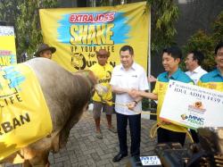 Bintang Toedjoe Serahkan Sapi Limosin Seberat 1 Ton 50 Kg ke MNC Group