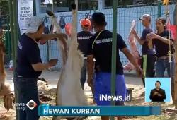 Usai Salat Idul Adha, Masjid Al-Azhar Jaksel Potong 13 Sapi dan 156 Kambing