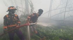 BNPB: 885 Titik Panas Terdeteksi di Kalbar, Terbanyak di Indonesia