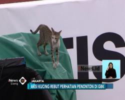 Aksi Kucing Berlari di Area Atletik Asian Games Jadi Perhatian