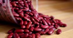 Waspada, Kacang Merah dan Rebung Bisa Mematikan jika Dimakan Mentah