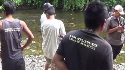 Buru Harimau Pemangsa Sapi di Langkat, Petugas Buka Posko Pemantauan