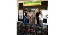 Karantina Hewan BBKP Surabaya Sita 154 Ekor Burung Ilegal Asal Kalteng