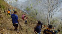Gara-Gara Puntung Rokok, 20 Ha Hutan Rakyat di Kulonprogo Terbakar