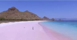 Ternyata, Ini Alasan Warna Pantai Pink TN Komodo Tak Selalu Merah Muda