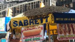Belasan Ribu Lebah Serbu Tenda Hot Dog di Times Square New York
