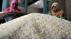 BPS Catat Harga Beras Terus Naik saat Stok Melimpah, Ini Datanya