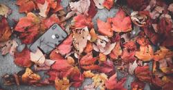 Jelang Peluncuran, Tampilan iPhone XS Muncul di Internet