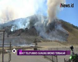 Bukit Teletubbies Gunung Bromo Terbakar, Pengunjung Diimbau Tak Mendekat
