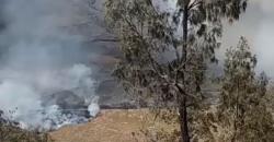 Bukit Teletubbies Terbakar, Intip Keindahan Savana Hijau yang Hits