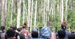 Taman Nasional Tanjung Puting Diusulkan Jadi New Bali ke-11