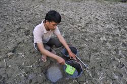 Masuk Awal Kemarau, BPBD Kulonprogo: 6 Kecamatan Berpotensi Kekeringan