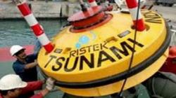 Miris, 10 dari 16 Alat Pendeteksi Tsunami di Pariaman Rusak dan Dicuri