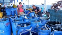 Nelayan Senang Pendapatan Tempat Lelang Ikan di Cilacap Meningkat