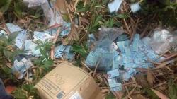Ribuan E-KTP yang Berceceran di Serang Dibuang Oknum Staf Kecamatan