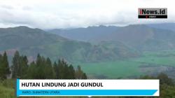 Warga Keluhkan Pembalakan Puluhan Hektare Hutan di Karo