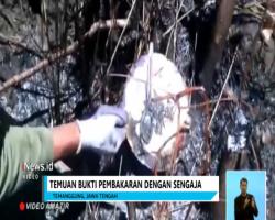 Video Amatir Ungkap Kebakaran Gunung di Temanggung Disengaja