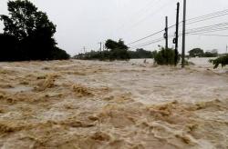 250.000 Ton Padi di Filipina Rusak akibat Terjangan Badai Mangkhut