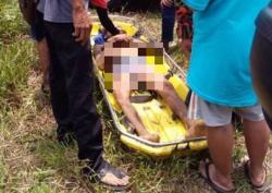 2 Orang Tewas dan 1 Kritis Digigit Ular saat Mencari Buah di Hutan