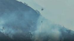 Kebakaran Gunung Sumbing Meluas Hingga ke Wonosobo, BNPB Kerahkan Heli