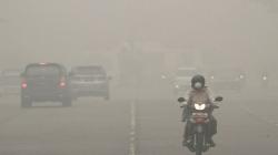 Kabut Asap Karhutla, Gubernur Riau Tetapkan Status Darurat Pencemaran Udara
